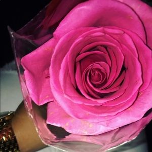 Meet your Posher, Kassandra